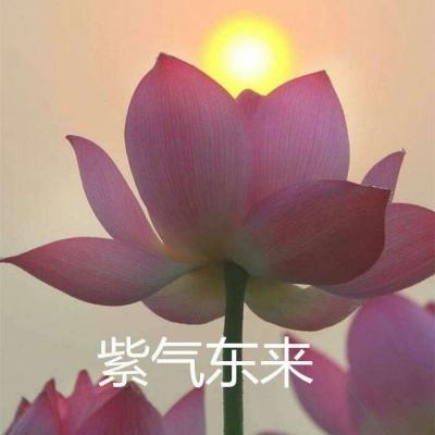 暗黑魔魂7477福利版下载